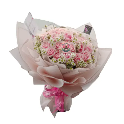 Rose Blush
