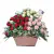 Tri Harmony Rose Basket
