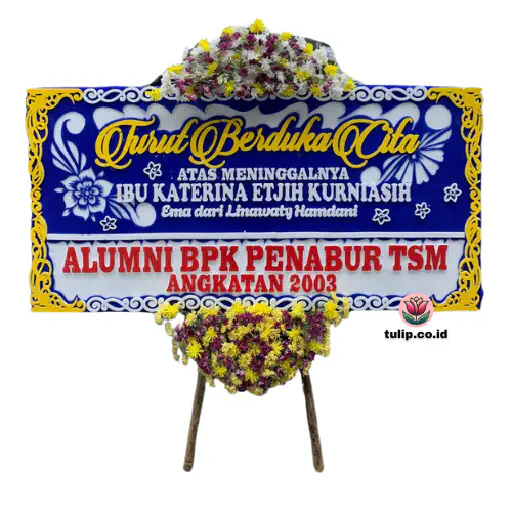 Hampa Tanpa Batas